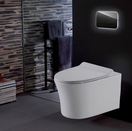 Унитаз навесной Mirsant FLY   